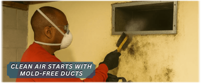 Air Duct Mold Removal in Forney TX