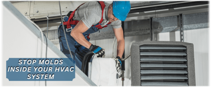 HVAC Mold Removal Forney TX